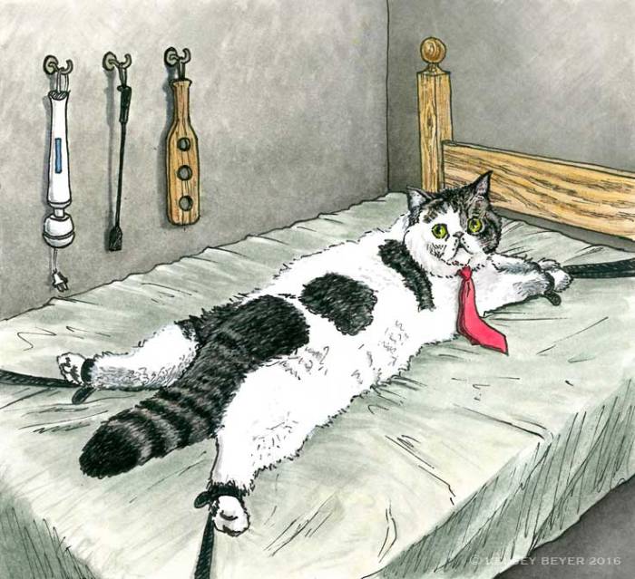 cat-tied-to-bed_w_wm