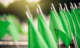 Ask Anna: What are green flags in a relationship? 5 traits of a great partner